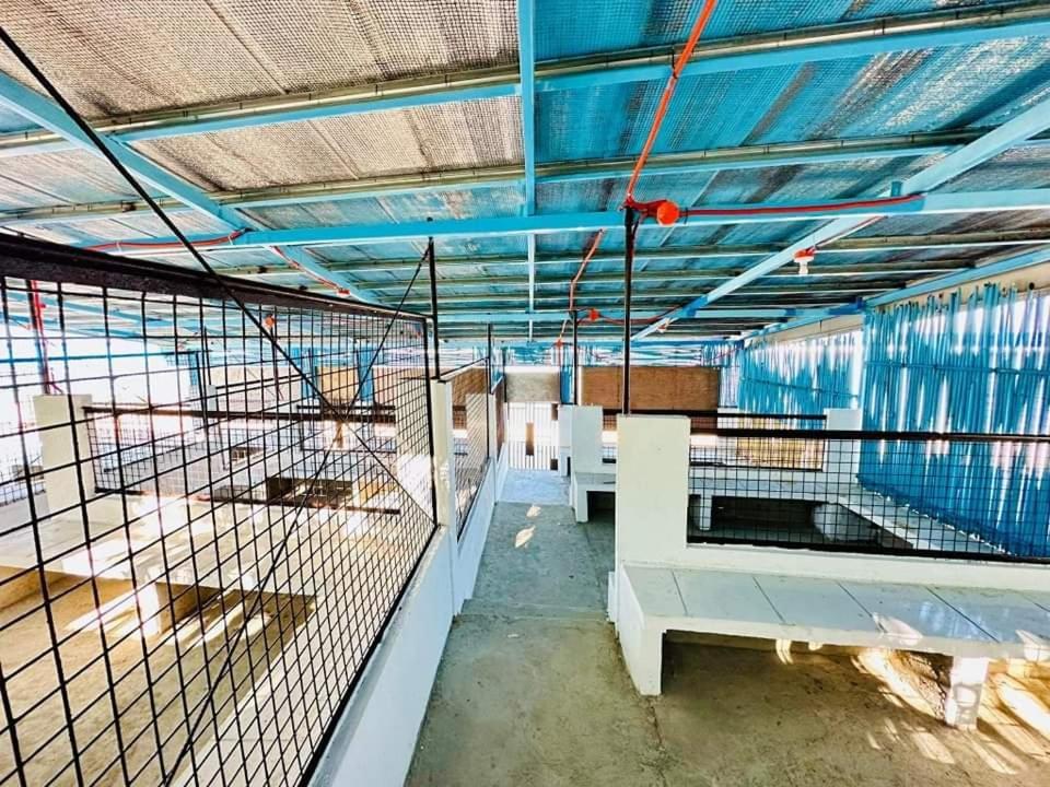 Tiny And Couple Beachcamp For Budget Travellers In Patar- Beachfront