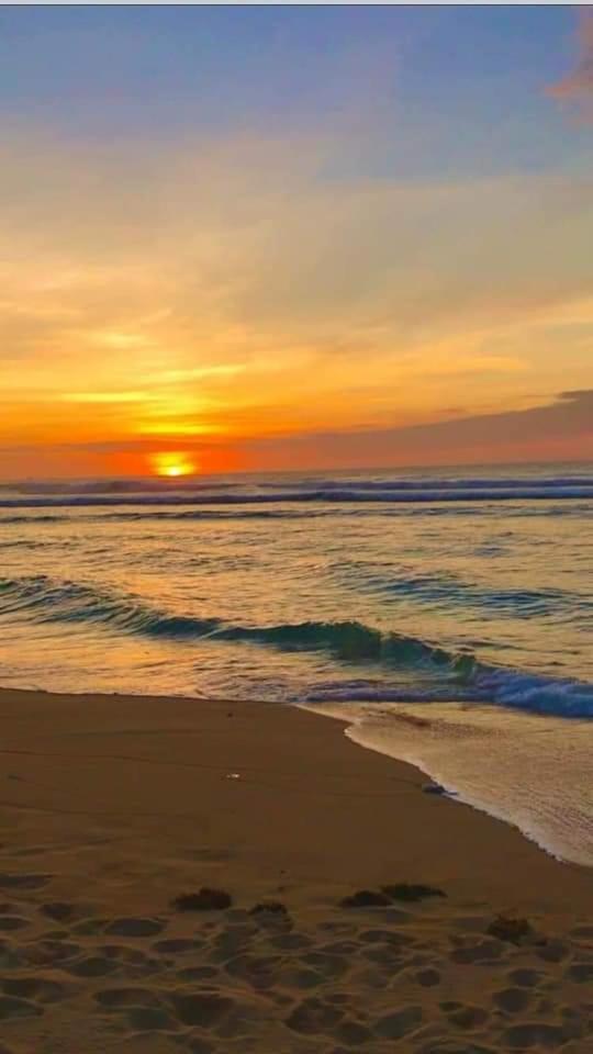 Tiny And Couple Beachcamp For Budget Travellers In Patar- Beachfront