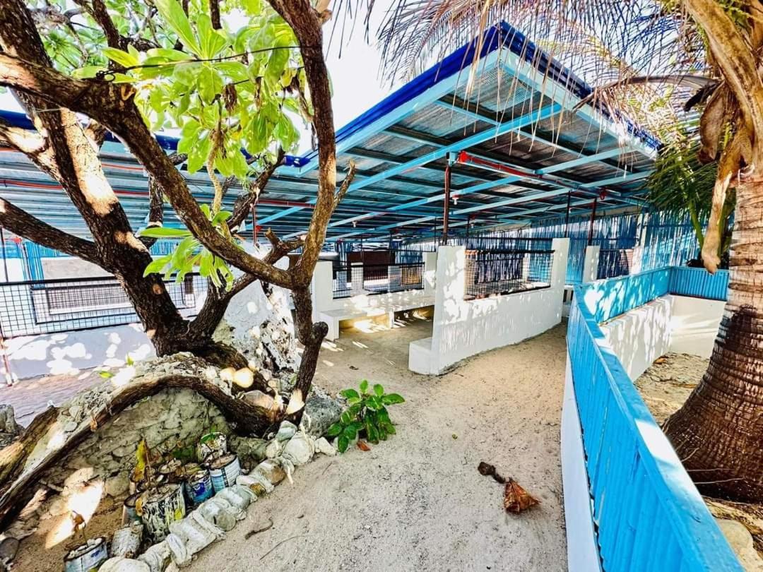 Tiny And Couple Beachcamp For Budget Travellers In Patar- Beachfront Campsite Bolinao